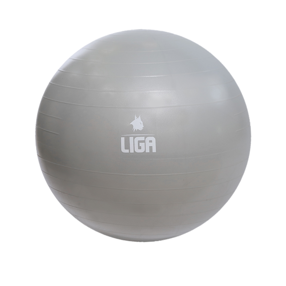 Μπάλα γυμναστικής 65cm (Gym Ball) (γκρι) LIGASPORT*