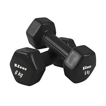 VINYL DUMBBELL 6KG x 2