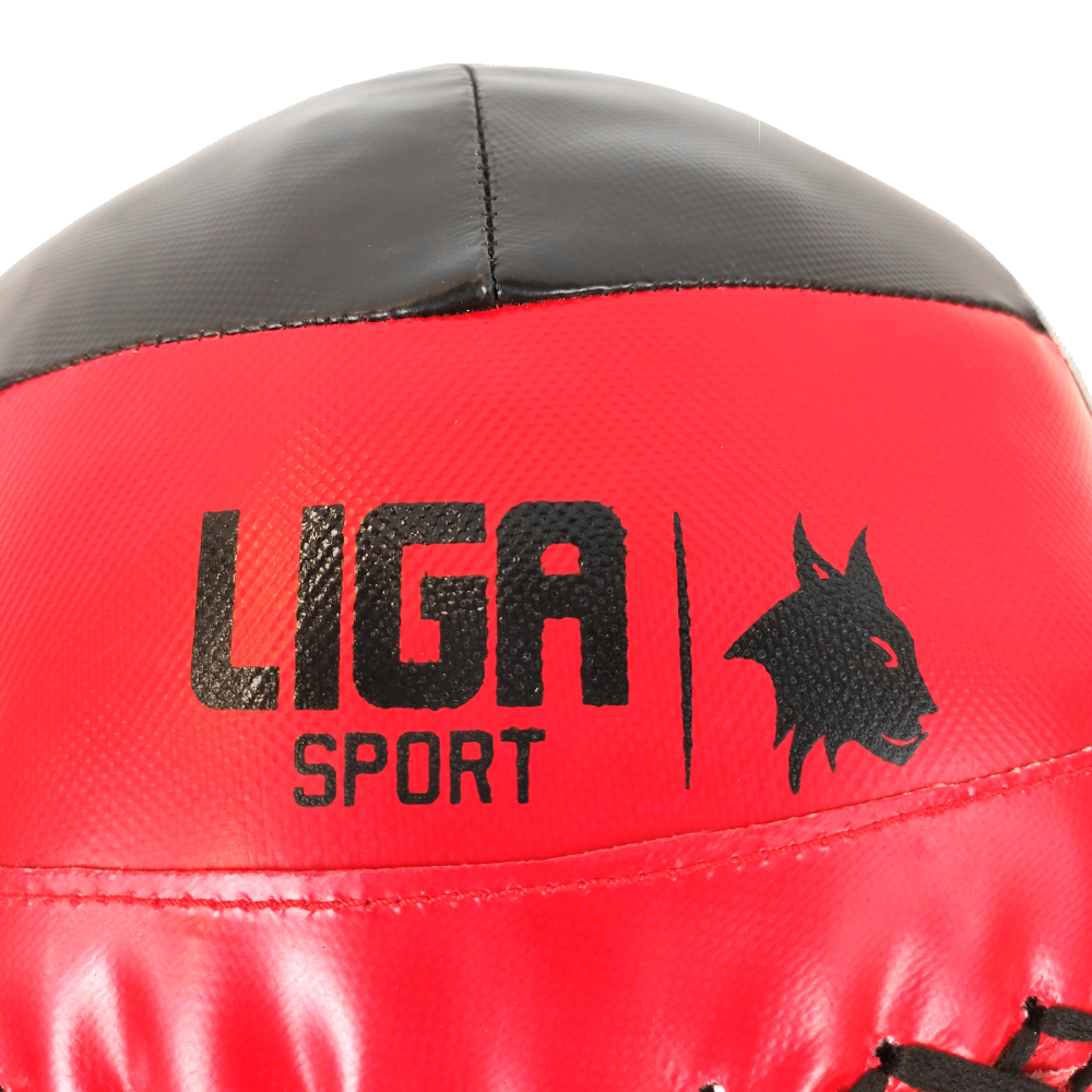 WALL BALL 10 KG LIGASPORT
