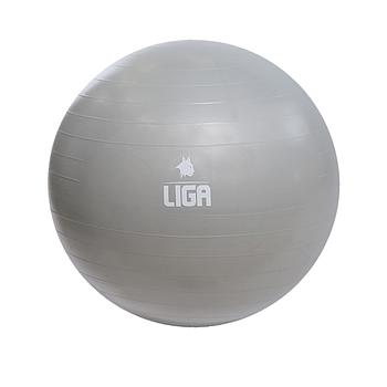 Μπάλα γυμναστικής 65cm (Gym Ball) (γκρι) LIGASPORT*