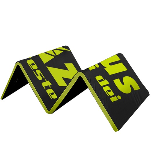 STUOIA PROFESSIONALE