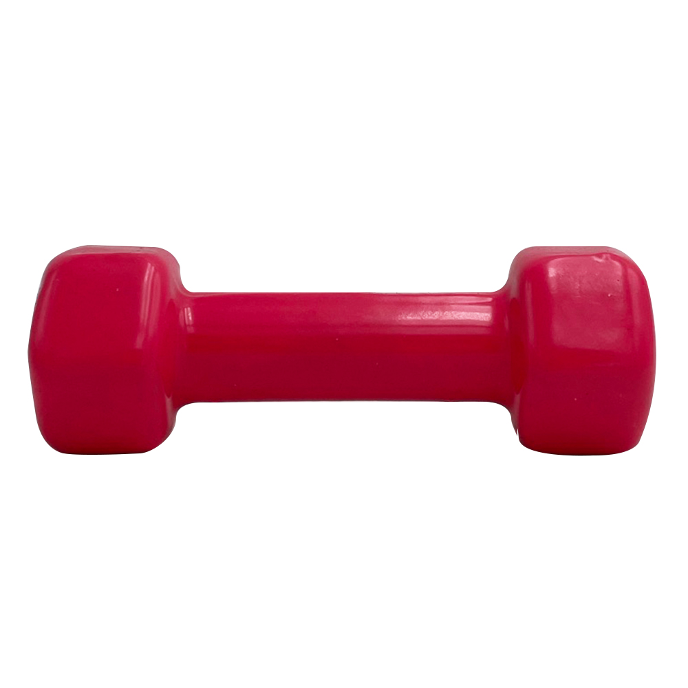 VINYL DUMBBELL ΑΛΤΗΡΑΣ ΒΙΝΥΛΙΟΥ 1kg (χρώμα ρόζ) LIGASPORT