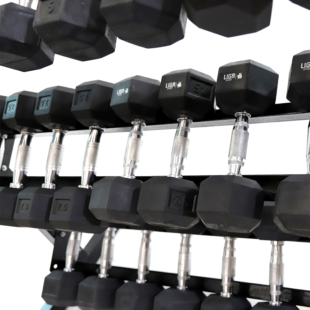 DUMBBELL RACK(ΒΑΣΗ ΓΙΑ ΑΛΤΗΡΕΣ)LIGASPORT