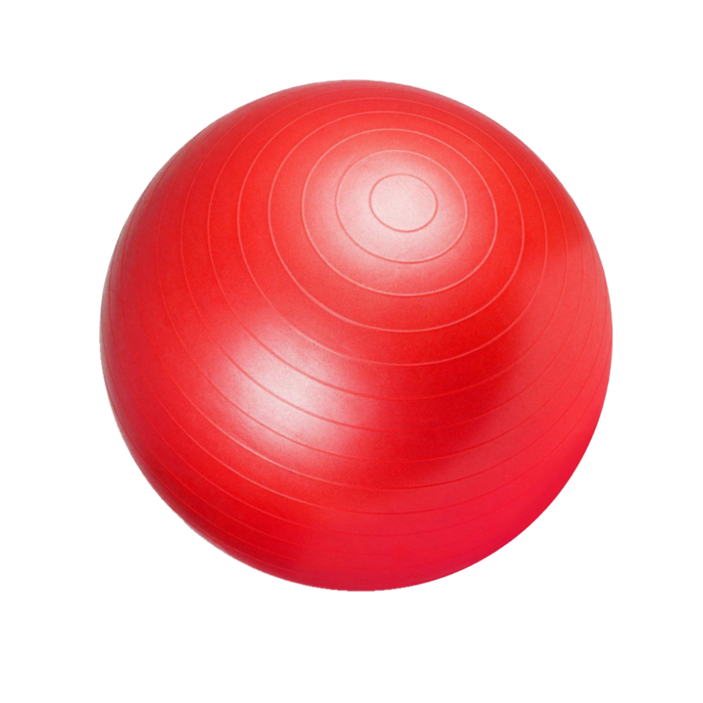 GYM BALL-55cm LIGASPORT