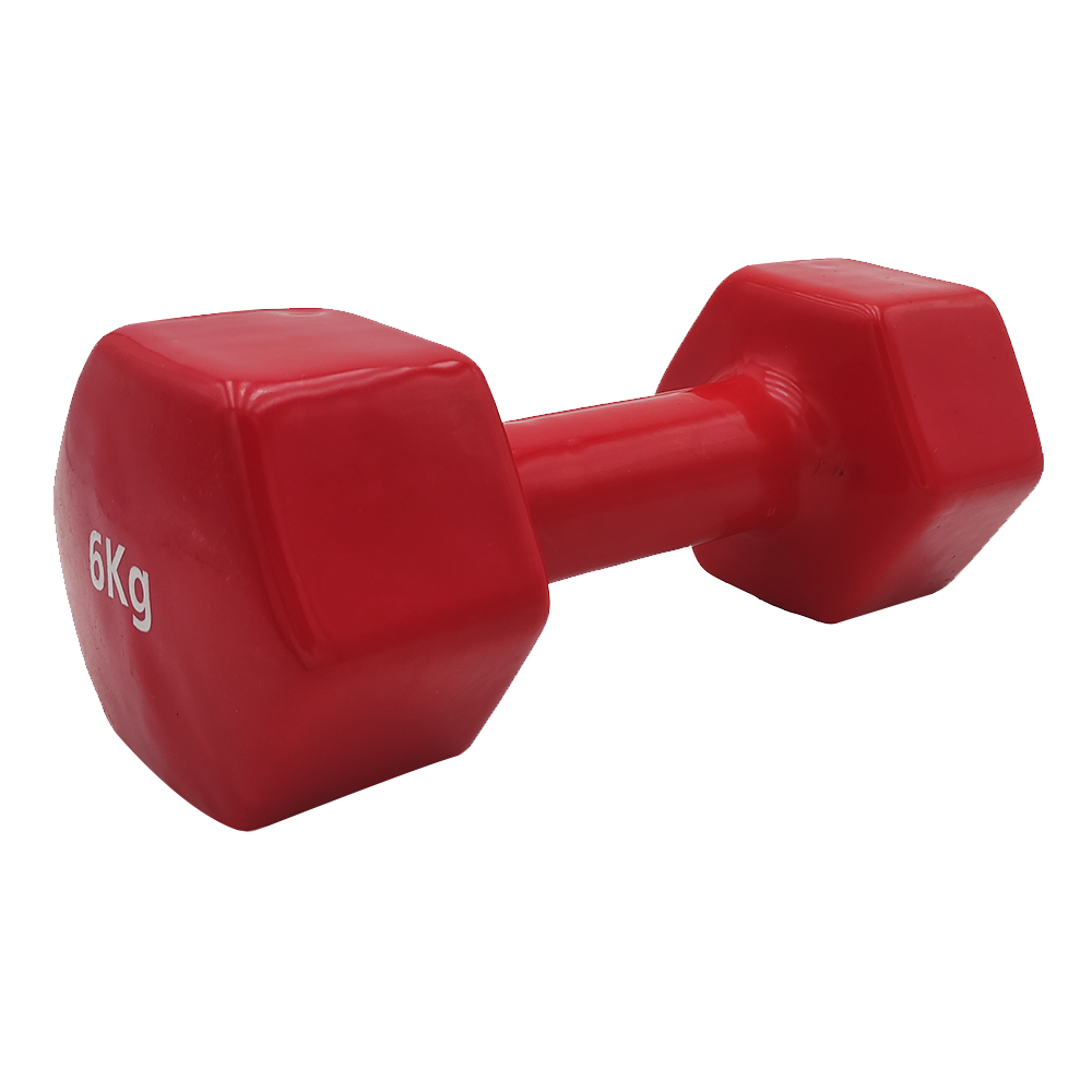 VINYL DUMBBELL ΑΛΤΗΡΑΣ ΒΙΝΥΛΙΟΥ 6kg (χρώμα κόκκινο) LIGASPORT