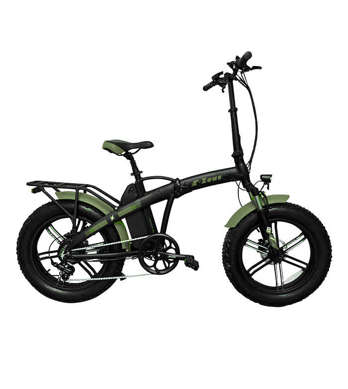 E-BIKE ZEUS
