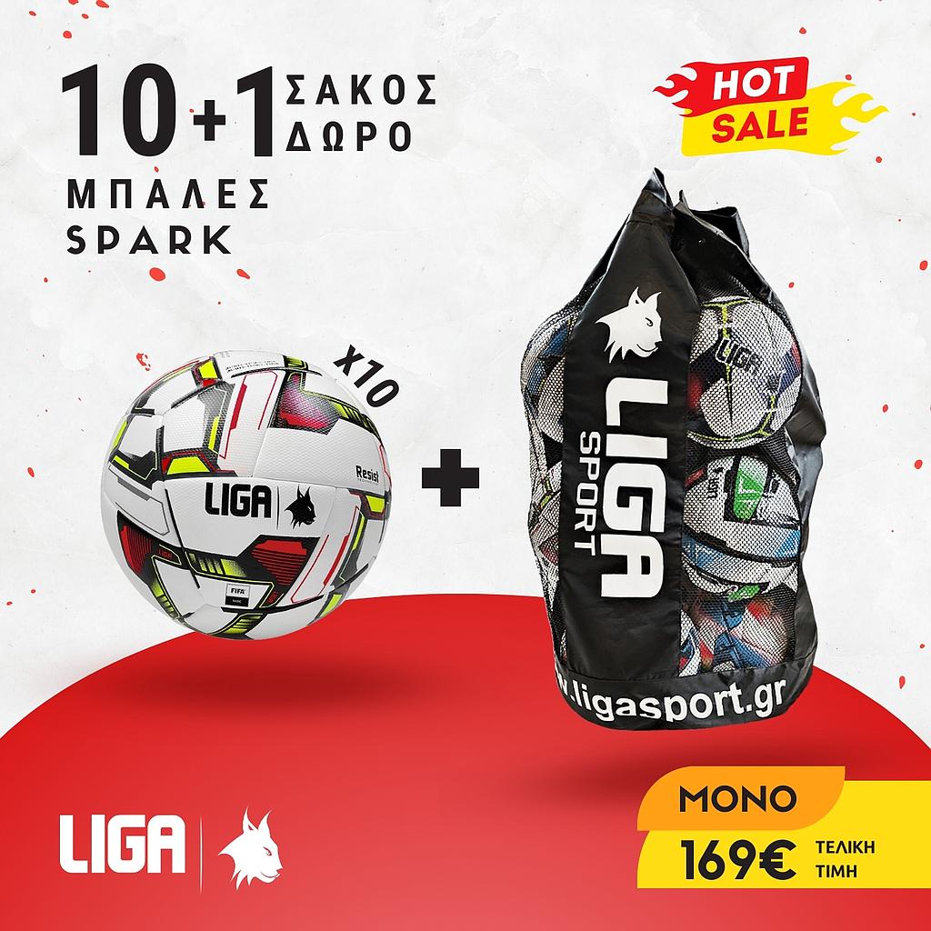 SOCCER BALL SPARK (10 PCS) & BALL CARRY BAG