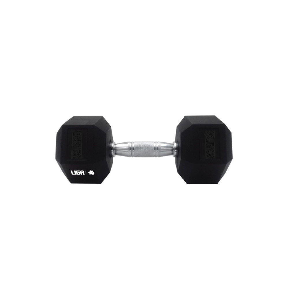 DUMBBELL-32,5kg (ΑΛΤΗΡΑΣ) LIGASPORT
