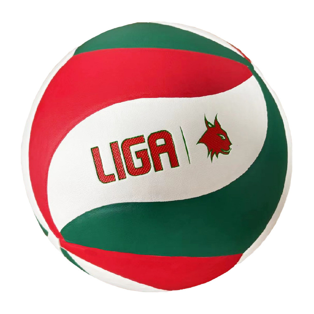 VOLLEYBALL SMASH LIGASPORT^