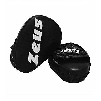 GUANTI BOXE MAESTRO