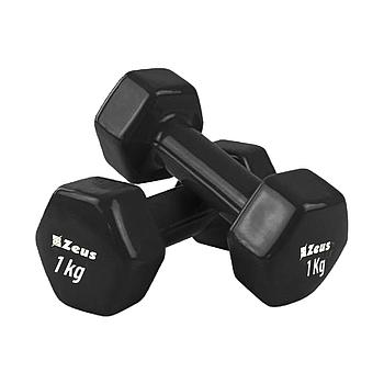 VINYL DUMBBELL 1KG x 2