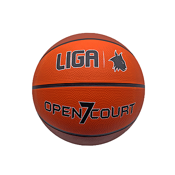 BASKETBALL OPEN COURT (7) LIGASPORT^