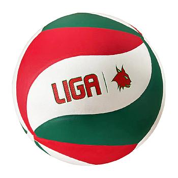 VOLLEYBALL SMASH LIGASPORT^